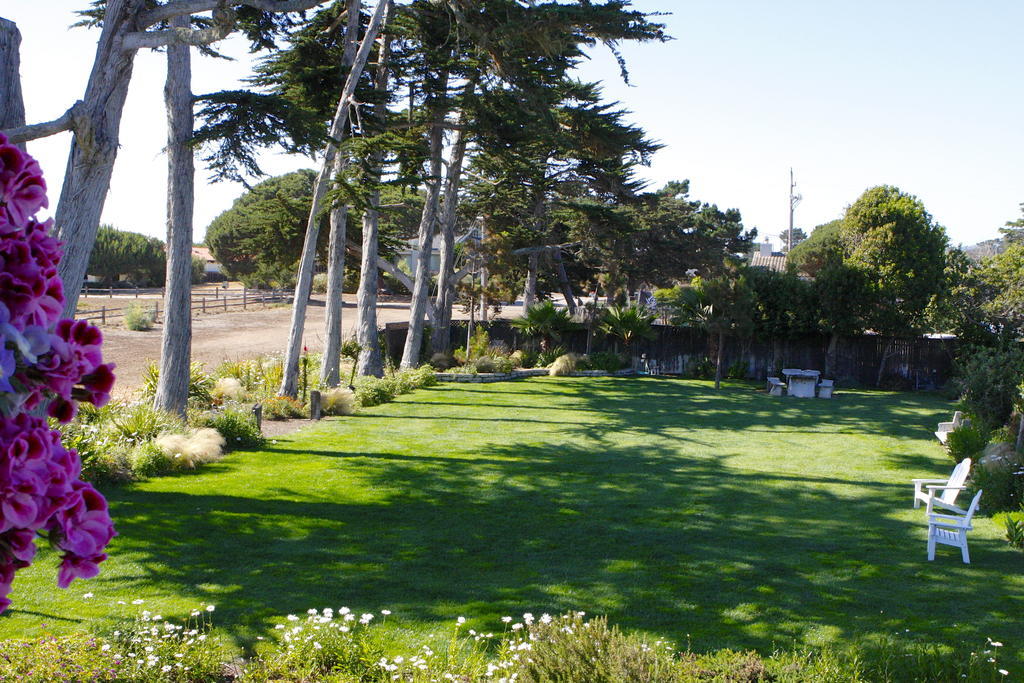 Back Bay Inn Los Osos Exterior foto